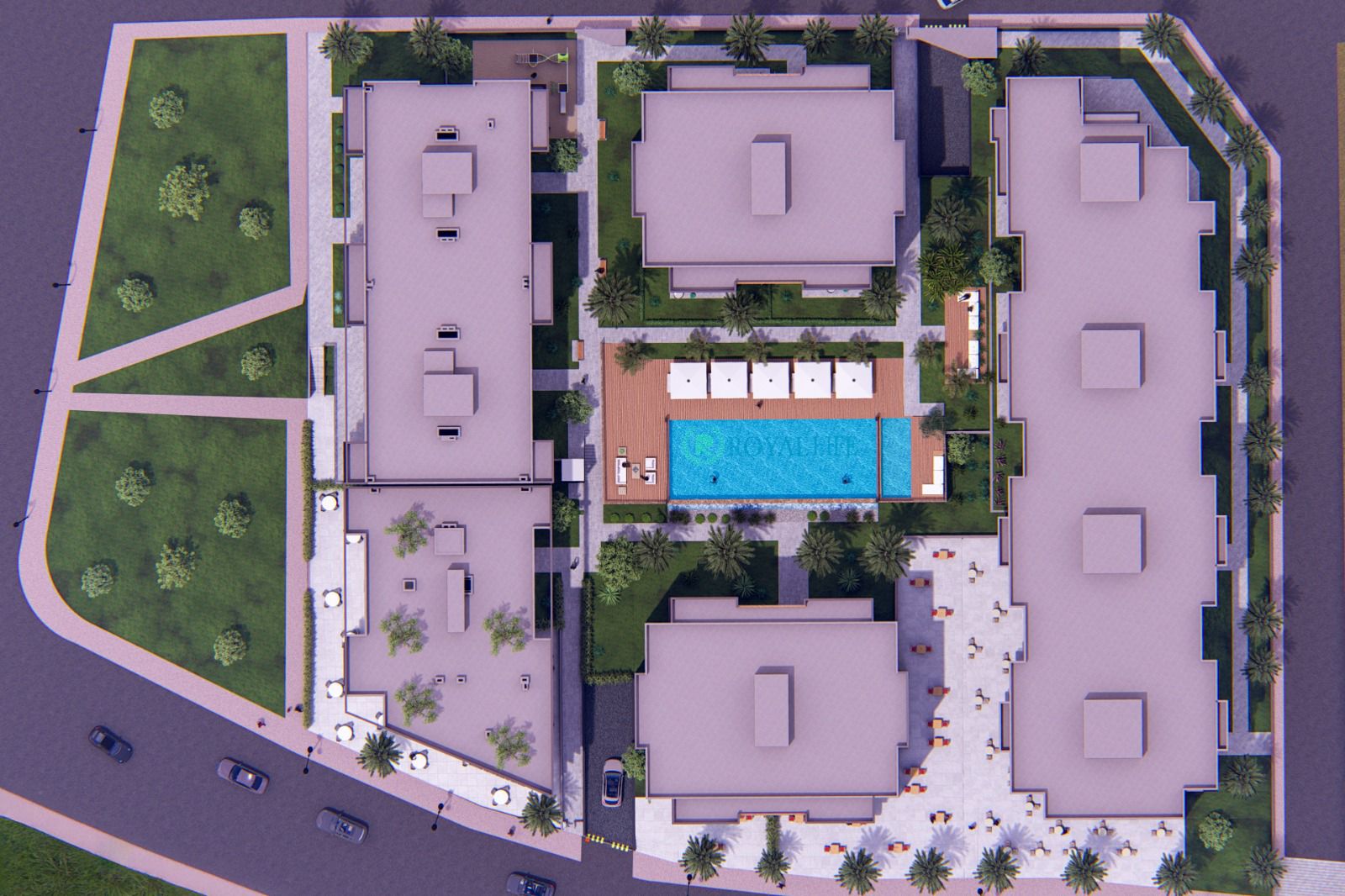 WhatsApp Image 2026-03-16 at 10.26.52 (3)